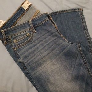 Hollister Skinny Jeans